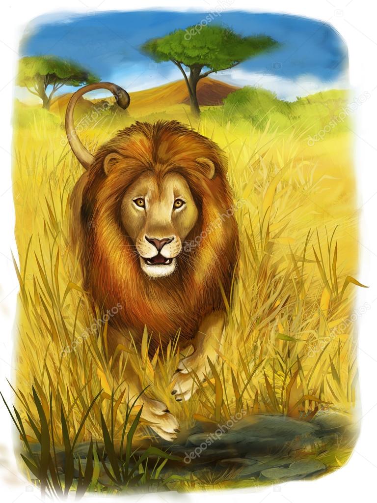 Safari - lion - illustration for the children