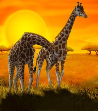 çocuklar için Safari - zürafa - illüstrasyon