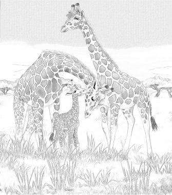 safari - zürafa - sayfa - illüstrasyon çocuklar için boyama