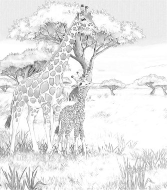 safari - zürafa - sayfa - illüstrasyon çocuklar için boyama