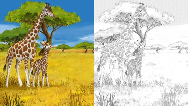 Safari - giraffer - målarbok - illustration för barn — Stockfoto