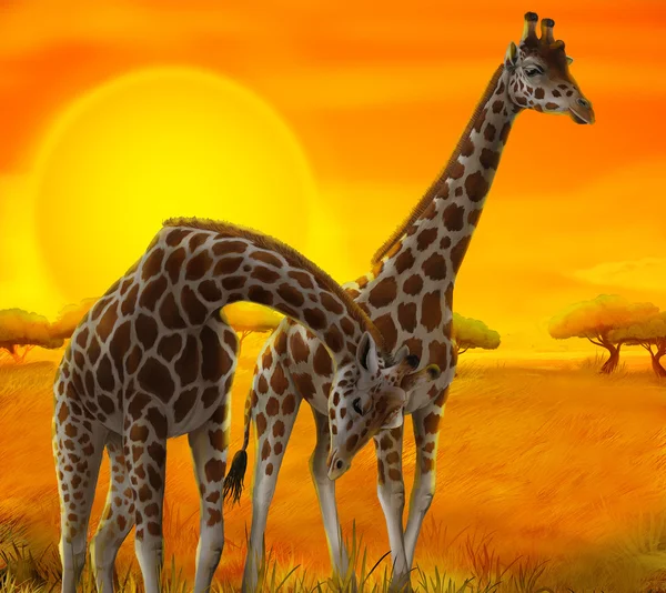 Safari - giraffes - illustration for the children — Stock Photo, Image