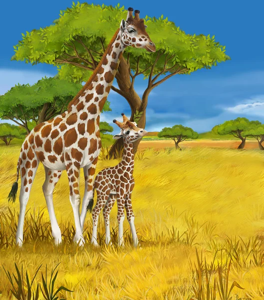 Safari - Giraffen - Illustration für die Kinder — Stockfoto