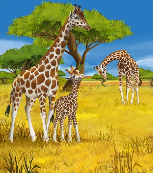 Safari - giraffer - illustration för barn — Stockfoto