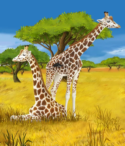 Safari - giraffen - illustratie voor de kinderen — Stockfoto