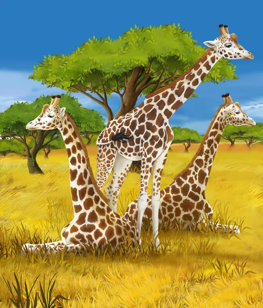 Safari - giraffen - illustratie voor de kinderen — Stockfoto