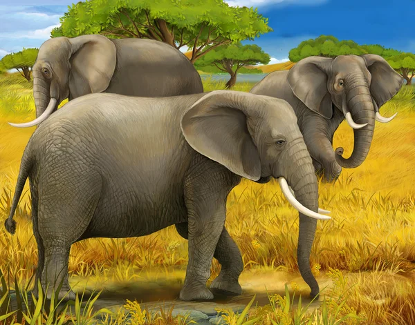 Safari - elephants — Stock Photo, Image