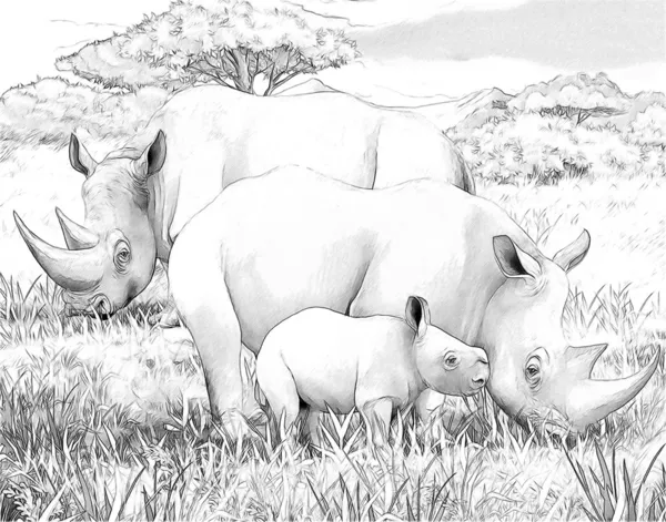 Safari - rhino — Stock Photo, Image