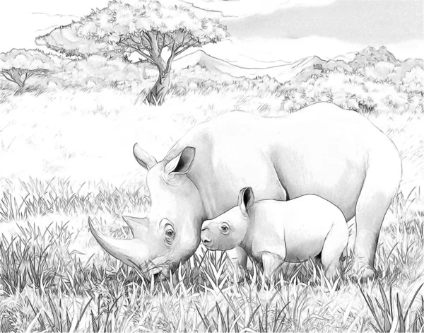 Safari - rinoceronte — Fotografia de Stock
