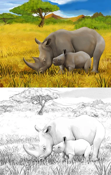 Safari - rinoceronte — Fotografia de Stock