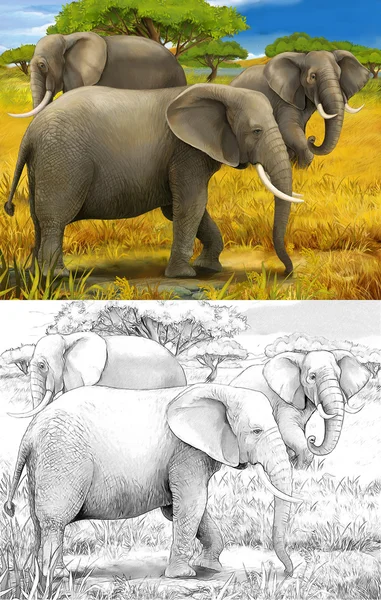 Safari - elephants — Stock Photo, Image