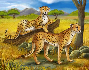 Safari.