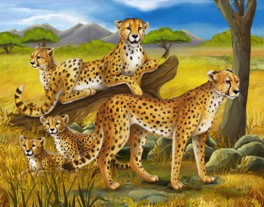 Safari.