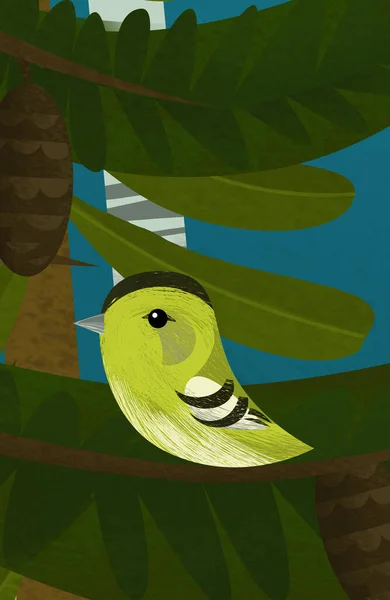 带有自然森林和动物鸟类图解的儿童卡通片 — 图库照片
