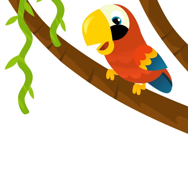 Cartoon animal bird parrot on white background illustration for children