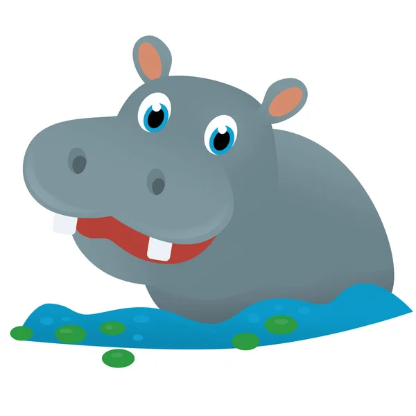 Tecknad Scen Med Flodhäst Flodhäst Vit Bakgrund Safari Illustration För — Stockfoto