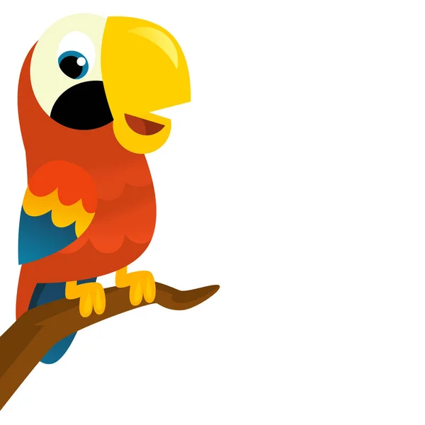 Cartoon Animal Bird Parrot White Background Illustration Children — Stock Photo, Image