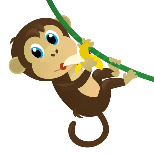 cartoon asian scene with animal monkey ape on white background illustration for children