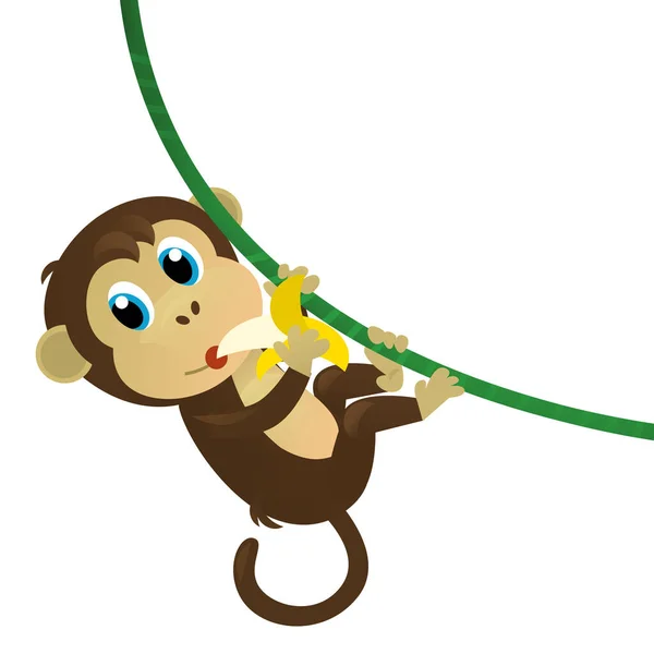 cartoon asian scene with animal monkey ape on white background illustration for children