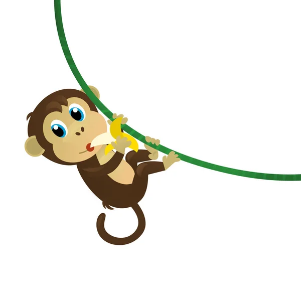 cartoon asian scene with animal monkey ape on white background illustration for children