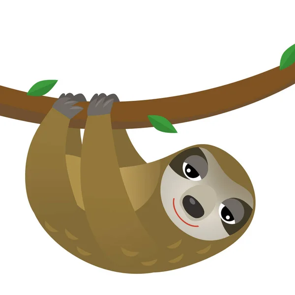 cartoon scene with animal sloth on white background illustration for children