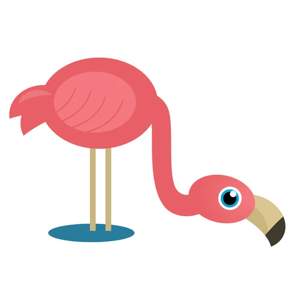Karikatur Tier Vogel Flamingo Auf Weißem Hintergrund Illustration Für Kinder — Stockfoto