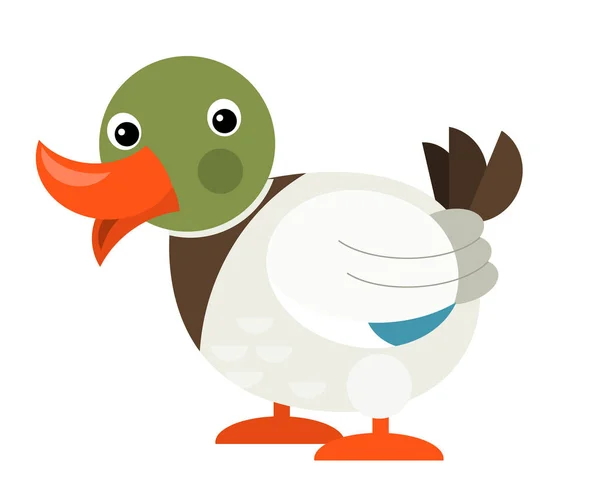 Cartoon Happy Farm Animal Cheerful Duck Illustration Children — Stock Photo, Image