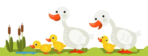 Cartoon Scene Goose Family White Background Illustration Children — 스톡 사진