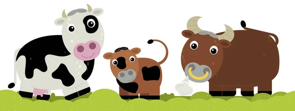 cartoon scene with cow family on white background illustration for children