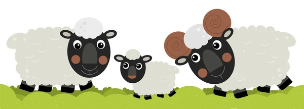 Cartoon happy sheep family is standing looking and smiling on white background illustration for children