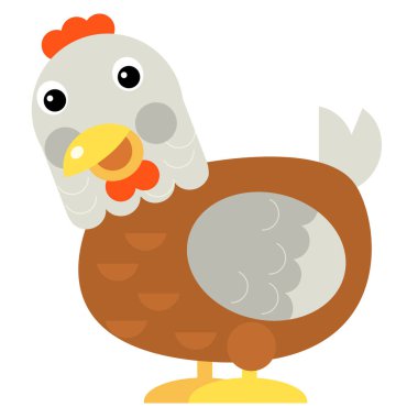 Cartoon scene chicken hen is standing looking and smiling on white background illustration for children