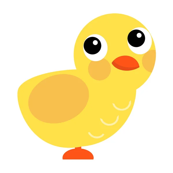 Cartoon Scene Little Chicken Standing Looking Smiling White Background Illustration — Stock Photo, Image