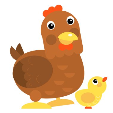 Cartoon scene chicken hen rooster family is standing looking and smiling on white background illustration for children