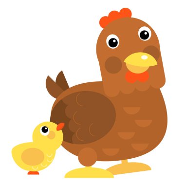 Cartoon scene chicken hen rooster family is standing looking and smiling on white background illustration for children