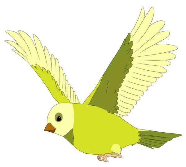 Tecknad Exotisk Färgglada Fågel Flyger Isolerad Illustration För Barn — Stockfoto