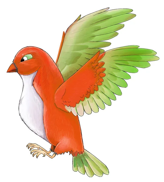 Cartoon Exotic Colorful Bird Flying Isolated Illustration Children — Stock Photo, Image