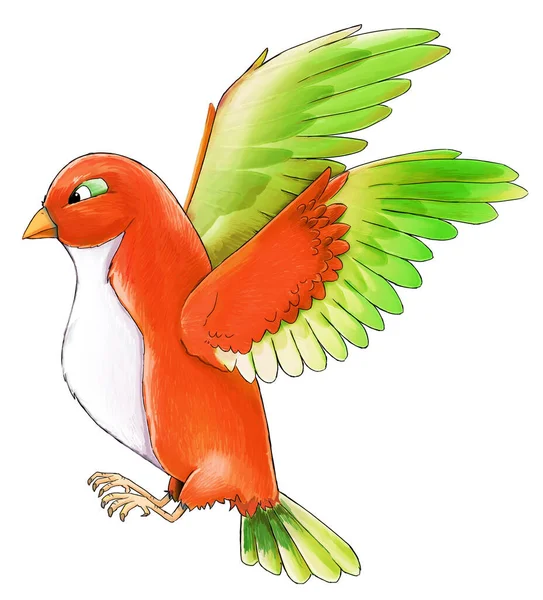 Tecknad Exotisk Färgglada Fågel Flyger Isolerad Illustration För Barn — Stockfoto