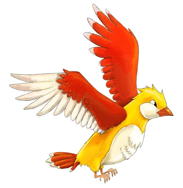 Cartoon Exotic Colorful Bird Flying Isolated Illustration Children — Stock Photo, Image