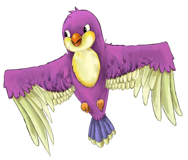 Dibujos Animados Exótico Colorido Pájaro Volando Ilustración Aislada Para Niños —  Fotos de Stock