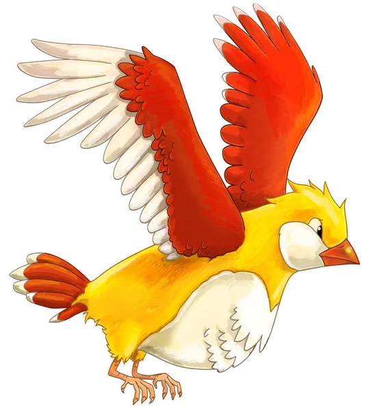 Cartoon exotic colorful bird flying isolated illustration for children
