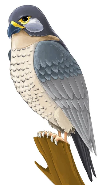 Мультфільм Екзотичний Барвистий Птах Літає Ізольовані Ілюстрації Дітей — стокове фото
