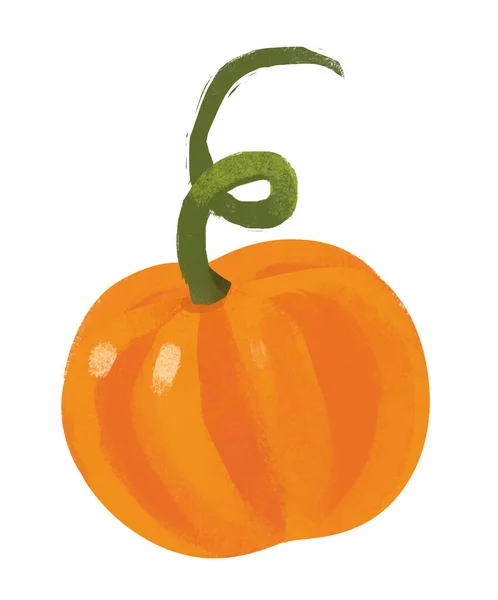 用白色背景图片隔开南瓜蔬菜的卡通片 — 图库照片