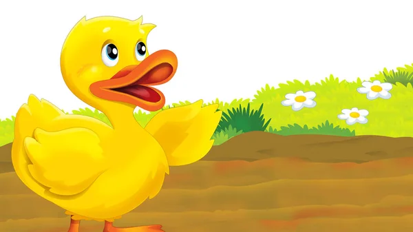 Cartoon Farm Scene Duck Bird Illustration Children — Stock Photo, Image