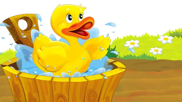 cartoon farm scene with duck bird illustration for children