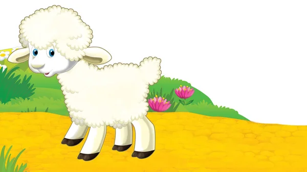 Dessin Animé Scène Ferme Avec Des Moutons Illustration Pour Les — Photo