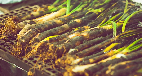 Typical catalonia grilled green onion — Stock Photo, Image