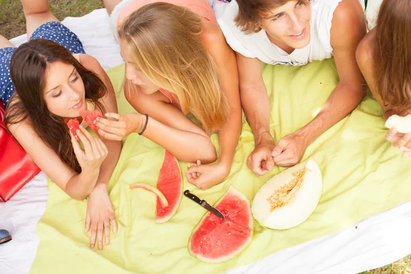 Friends on healthy fruit picnic at sunny day — Stock Photo, Image