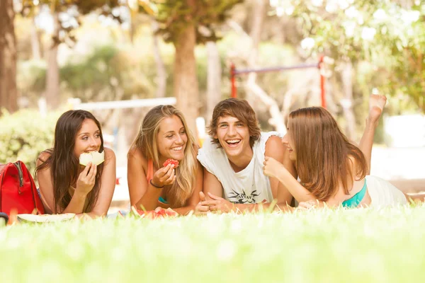 Amis sur pique-nique de fruits sains au soleil jour — Photo