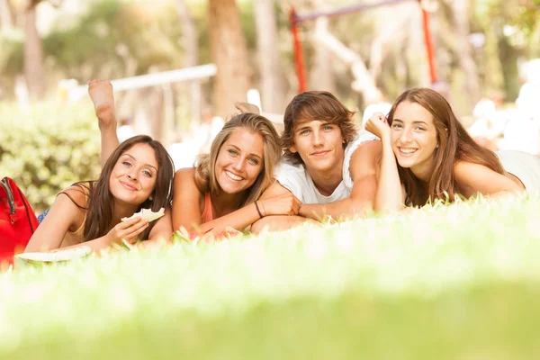 Freunde beim gesunden Obstpicknick an sonnigem Tag Stockbild