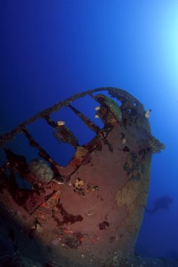 Dalgıç ve Japon uçak Batığı, walindi, papua Yeni Gine